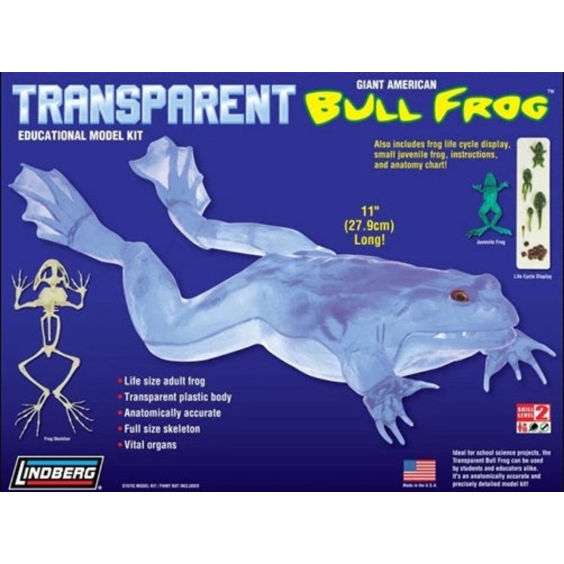 Transparent Bull Frog 11" Long