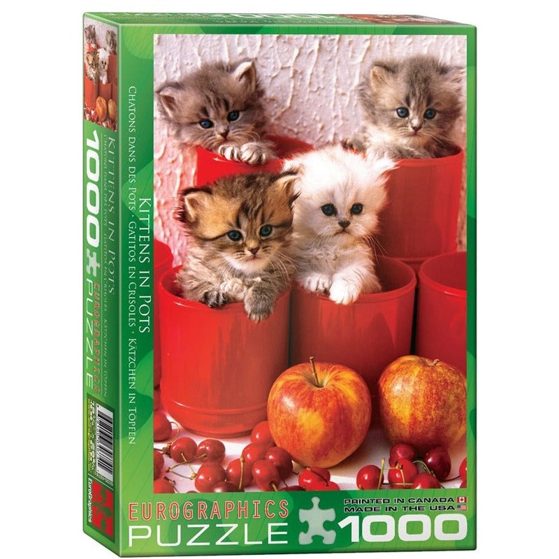Kittens in Pots 1000pc Puzzle
